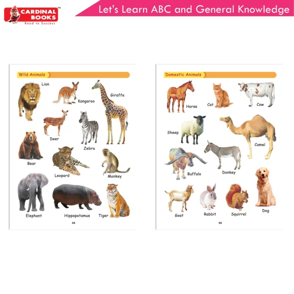 Cardinal Let's Learn ABC and General Knowledge - Image 6