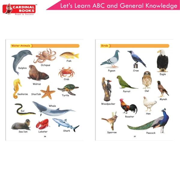 Cardinal Let's Learn ABC and General Knowledge - Image 7