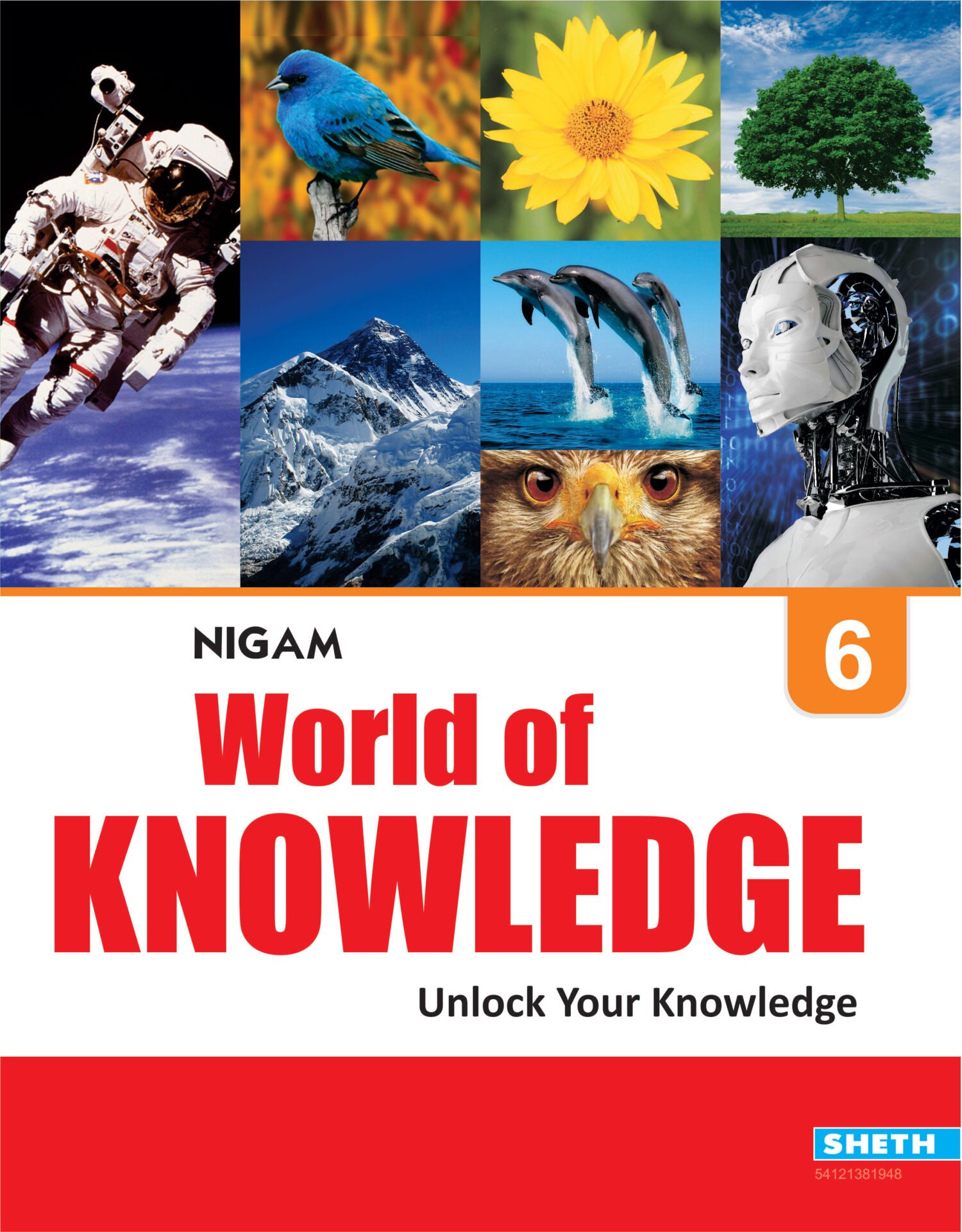 Nigam World of Knowledge 6 1 1