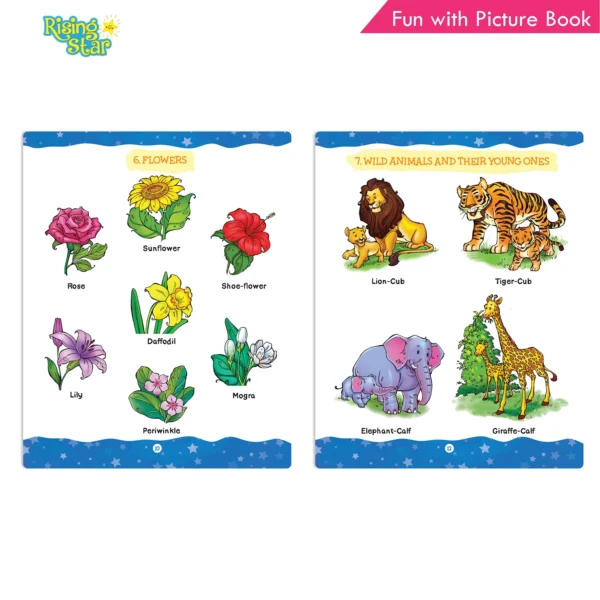 Rising Star Fun with Picture Book - Image 6