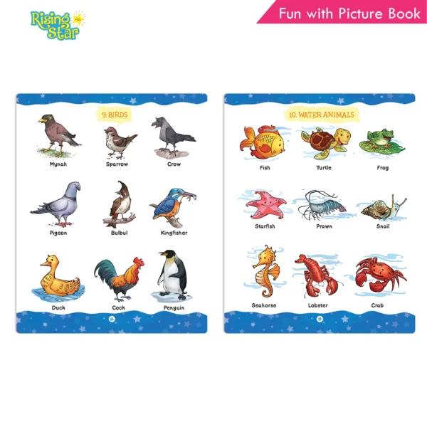 Rising Star Fun with Picture Book - Image 7