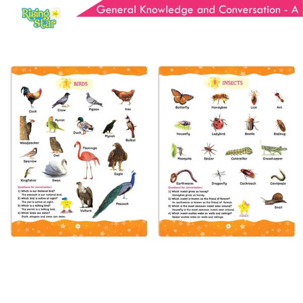 Rising Star General Knowledge And Conversation Book - A - Image 3