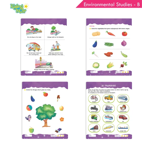 Rising Star Combo Set of General Knowledge & Conversation Book B, Environmental Studies B and Fun with ABC & General Knowledge B (Set of 3) - Image 5