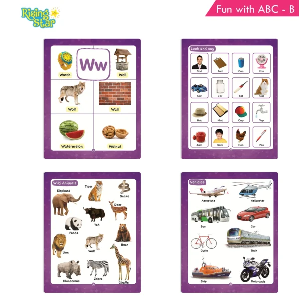 Rising Star Combo Set of General Knowledge & Conversation Book B, Environmental Studies B and Fun with ABC & General Knowledge B (Set of 3) - Image 7