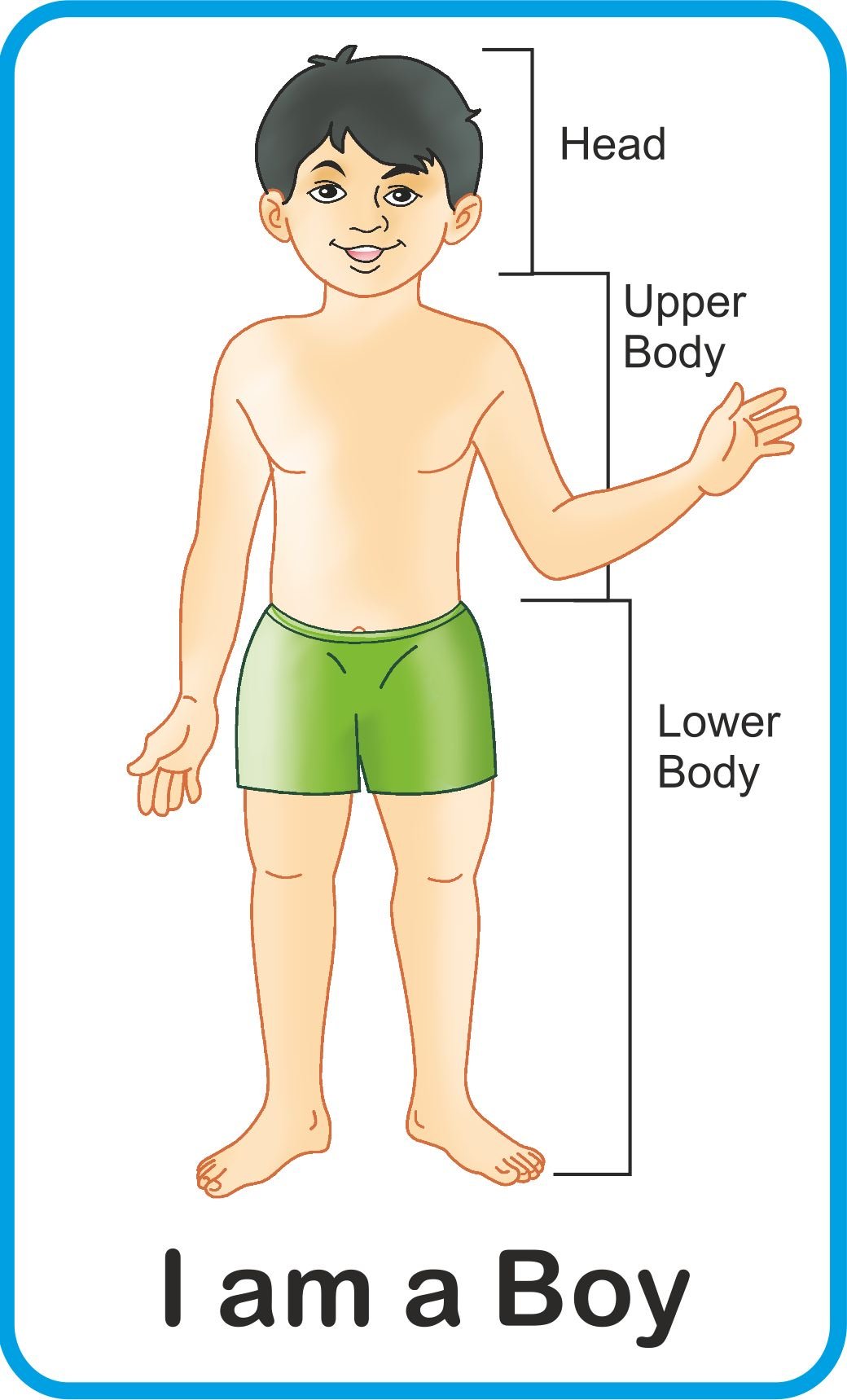 Jolly Kids Flash Cards My Body Parts 2