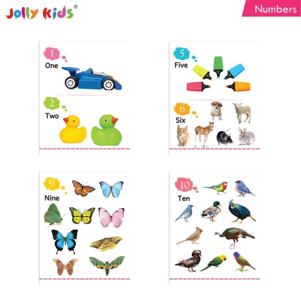 Jolly Kids Fun Learning My Big Picture Board Books Set of 8