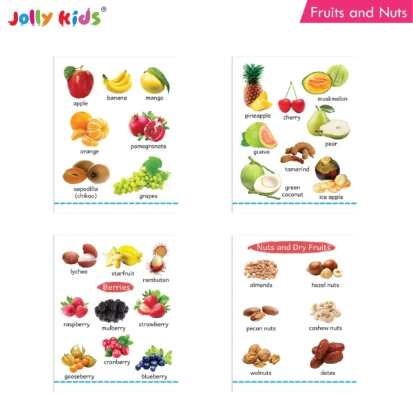 Jolly Kids Fun Learning My Big Picture Board Books Set of 8