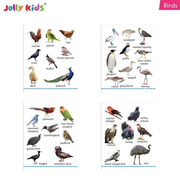 Jolly Kids Fun Learning My Big Picture Board Books Set of 8