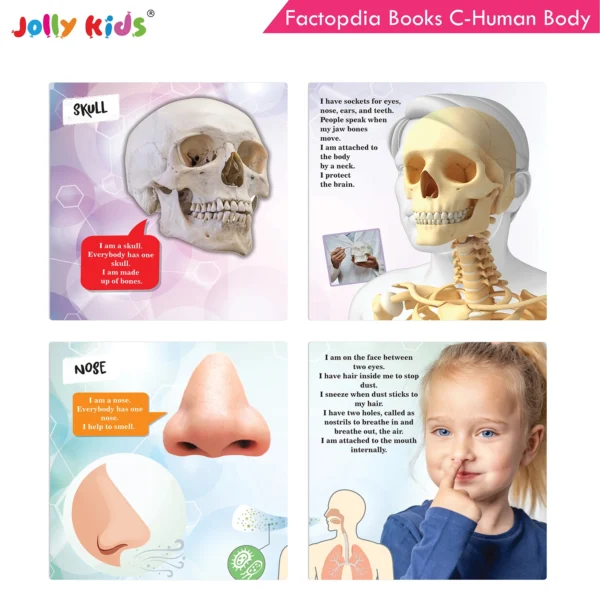 Jolly Kids Factopedia Books C Set of 4 For Early Learners Aged 3-8 Years Engaging Sports, Explore Human Body, Space, World of Vehicles - Image 4