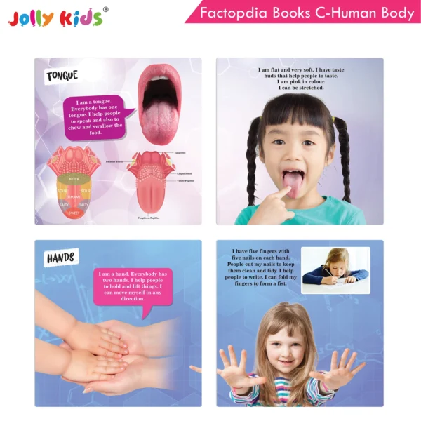 Jolly Kids Factopedia Books C Set of 4 For Early Learners Aged 3-8 Years Engaging Sports, Explore Human Body, Space, World of Vehicles - Image 5