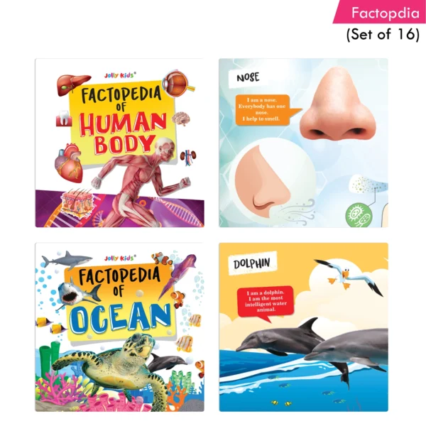 Jolly Kids Factopedia Books Set of 16 For Kids Aged 3-8 Years| Educational Learning About Animals-Farm Animals, Wild Animals, Oceans, Monkeys, Reptiles, Plants, Earth, Sports, Human Body, Spaces and More. - Image 4