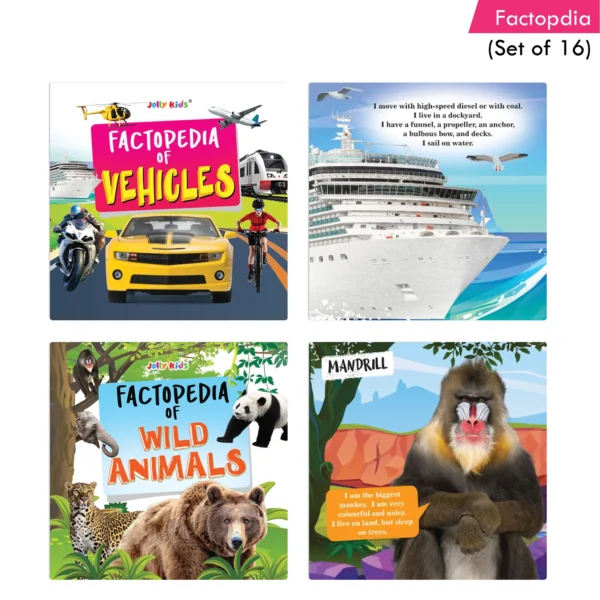 Jolly Kids Factopedia Books Set of 16 For Kids Aged 3-8 Years| Educational Learning About Animals-Farm Animals, Wild Animals, Oceans, Monkeys, Reptiles, Plants, Earth, Sports, Human Body, Spaces and More. - Image 6