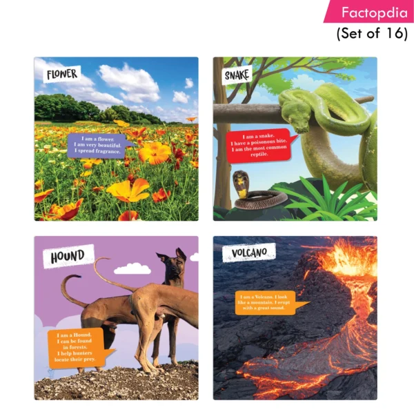 Jolly Kids Factopedia Books Set of 16 For Kids Aged 3-8 Years| Educational Learning About Animals-Farm Animals, Wild Animals, Oceans, Monkeys, Reptiles, Plants, Earth, Sports, Human Body, Spaces and More. - Image 7