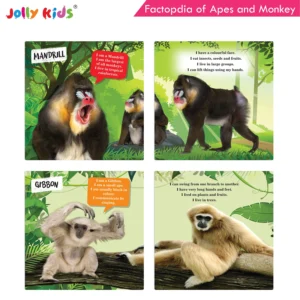 Jolly Kids Factopedia of Apes and Monkeys and Baby Animals Books Set of 2