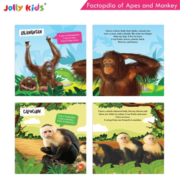 Jolly Kids Factopedia of Apes and Monkeys and Baby Animals Books Set of 2 - Image 4