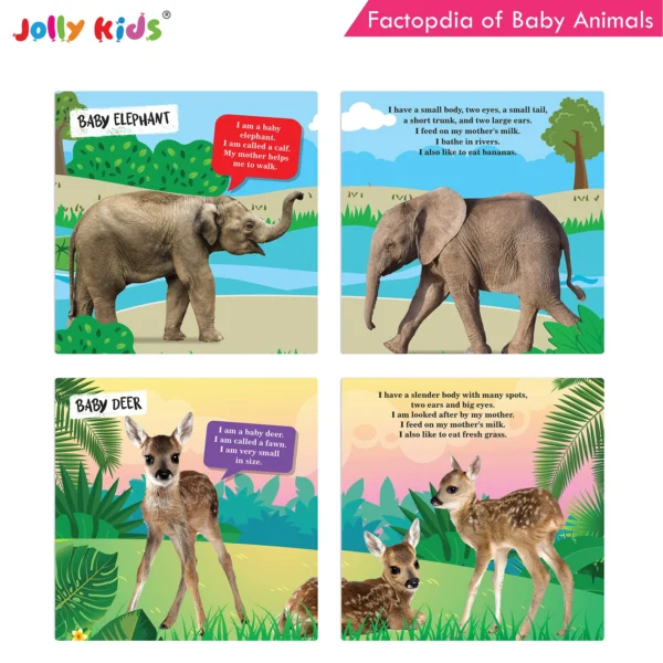 Jolly Kids Factopedia of Apes and Monkeys and Baby Animals Books Set of 2 - Image 5