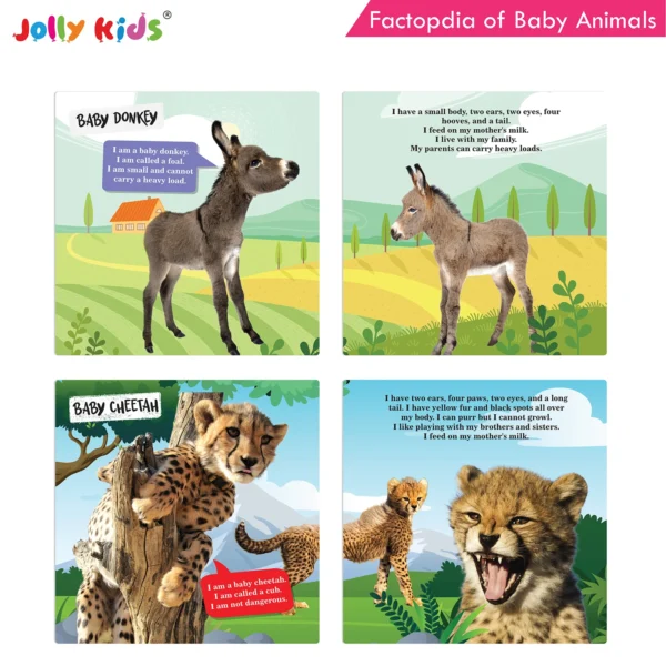 Jolly Kids Factopedia of Apes and Monkeys and Baby Animals Books Set of 2 - Image 7