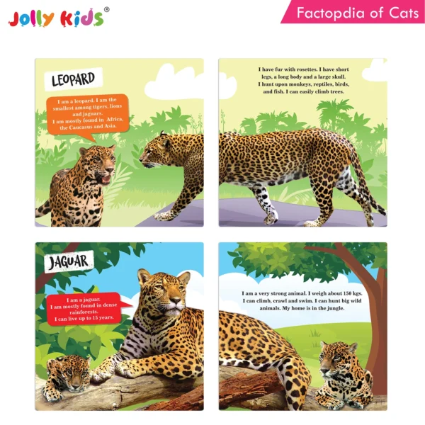 Jolly Kids Factopedia of Cats and Dogs Books Set of 2 - Image 3