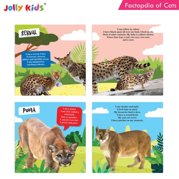 Jolly Kids Factopedia of Cats and Dogs Books Set of 2 - Image 4