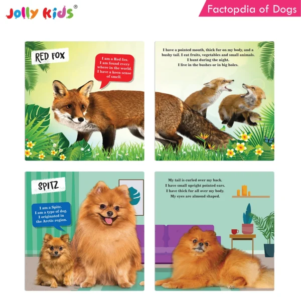 Jolly Kids Factopedia of Cats and Dogs Books Set of 2 - Image 5