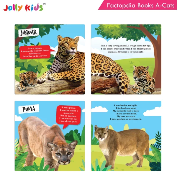 Jolly Kids Factopedia Books A Set of 4|Learning  About Cats-Farm Animals-Dogs-Baby Animals - Image 3