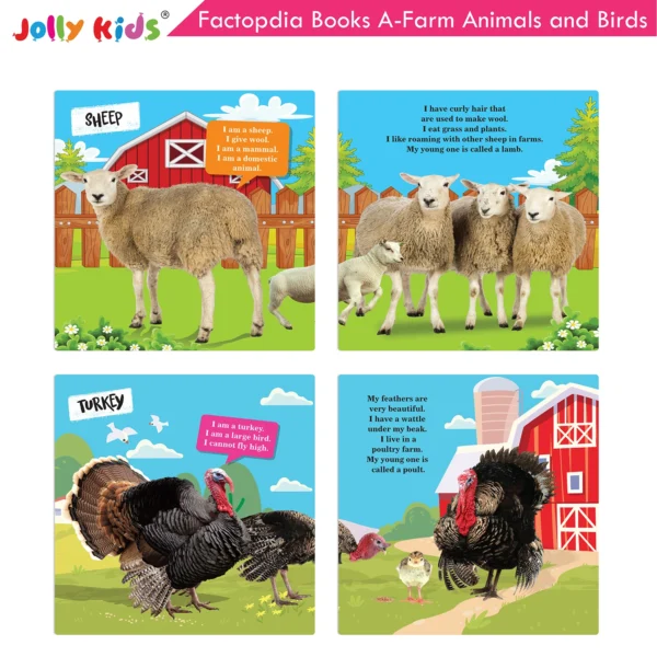 Jolly Kids Factopedia Books A Set of 4|Learning  About Cats-Farm Animals-Dogs-Baby Animals - Image 4