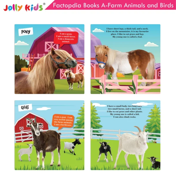 Jolly Kids Factopedia Books A Set of 4|Learning  About Cats-Farm Animals-Dogs-Baby Animals - Image 5