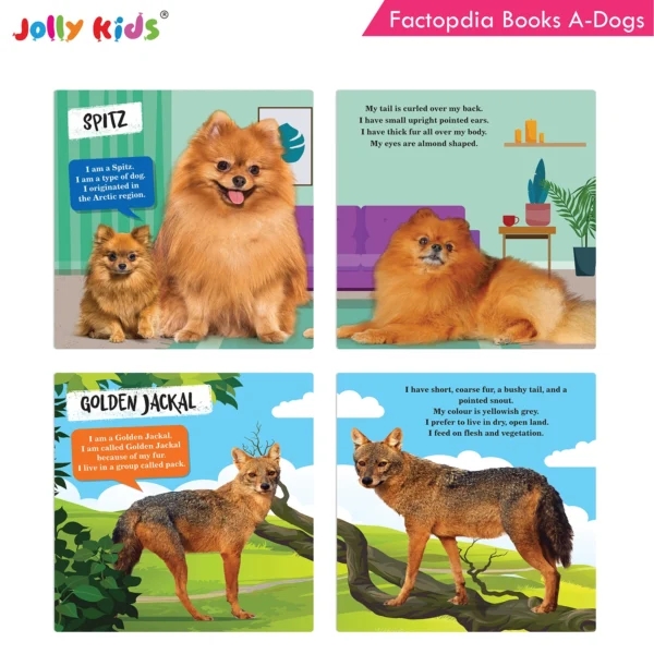 Jolly Kids Factopedia Books A Set of 4|Learning  About Cats-Farm Animals-Dogs-Baby Animals - Image 6