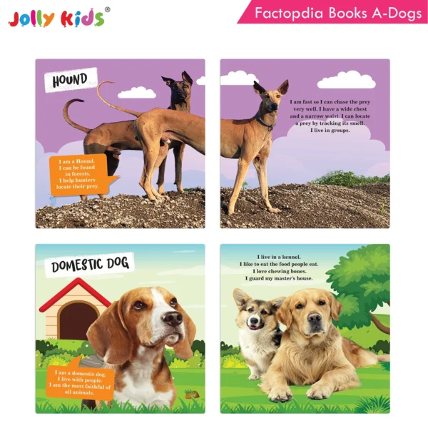 Jolly Kids Factopedia Books A Set of 4|Learning  About Cats-Farm Animals-Dogs-Baby Animals - Image 7