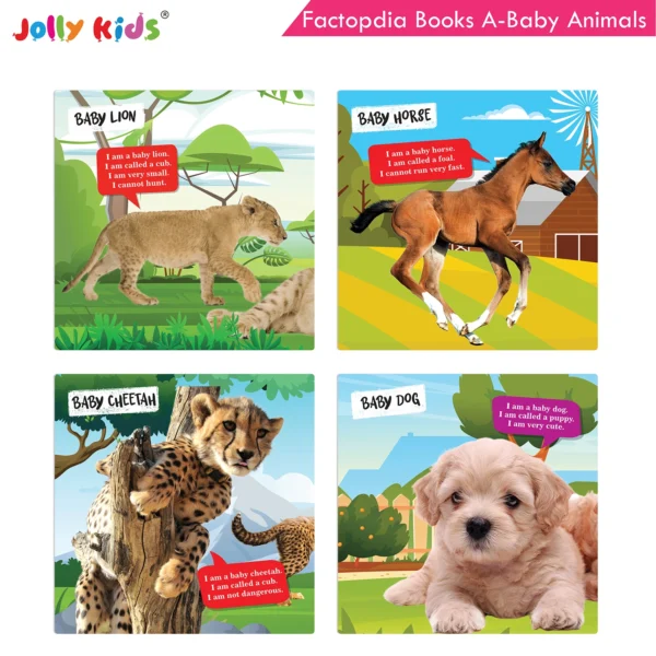 Jolly Kids Factopedia Books A Set of 4|Learning  About Cats-Farm Animals-Dogs-Baby Animals - Image 8