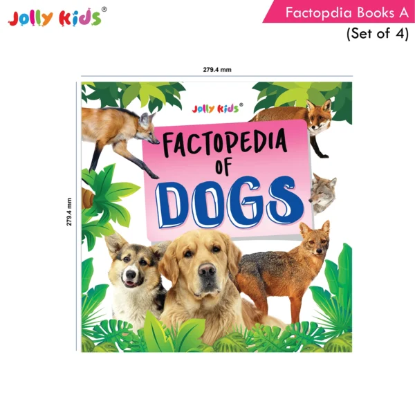 Jolly Kids Factopedia Books A Set of 4|Learning  About Cats-Farm Animals-Dogs-Baby Animals - Image 9