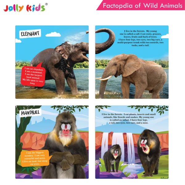 Jolly Kids Factopedia of Farm Animals and Wild Animals Books Set of 2 - Image 5