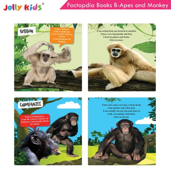 Jolly Kids Factopedia Books B Set of 4 For Preschoolers Learning About Ocean - Apes And Monkey - Reptiles And Amphibians - Wild Animals - Image 4