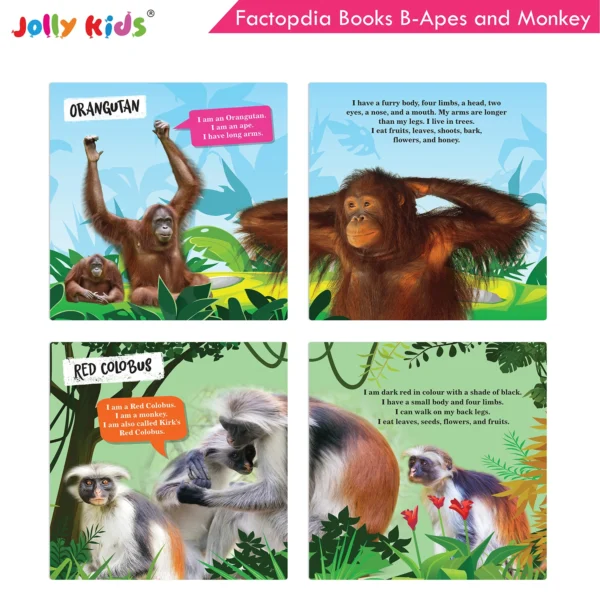 Jolly Kids Factopedia Books B Set of 4 For Preschoolers Learning About Ocean - Apes And Monkey - Reptiles And Amphibians - Wild Animals - Image 5