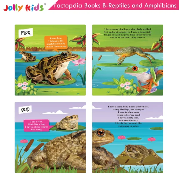 Jolly Kids Factopedia Books B Set of 4 For Preschoolers Learning About Ocean - Apes And Monkey - Reptiles And Amphibians - Wild Animals - Image 6