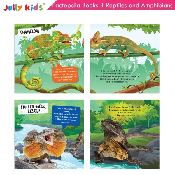 Jolly Kids Factopedia Books B Set of 4 For Preschoolers Learning About Ocean - Apes And Monkey - Reptiles And Amphibians - Wild Animals - Image 7