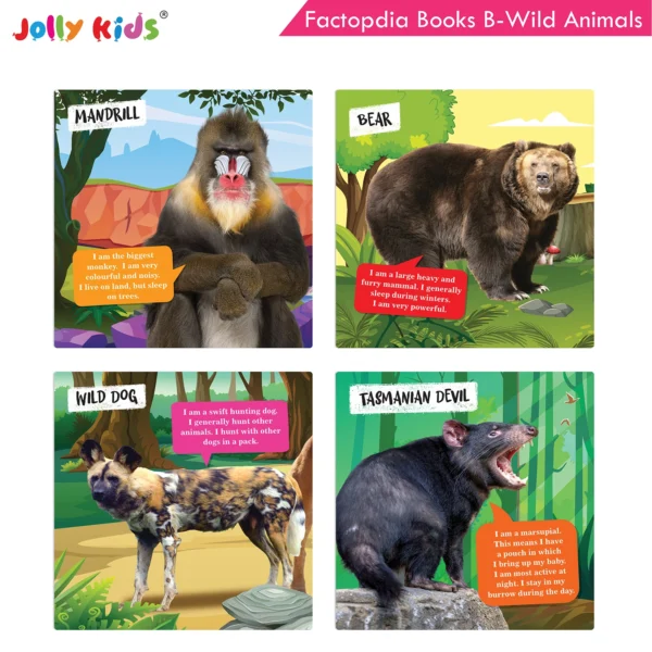 Jolly Kids Factopedia Books B Set of 4 For Preschoolers Learning About Ocean - Apes And Monkey - Reptiles And Amphibians - Wild Animals - Image 8