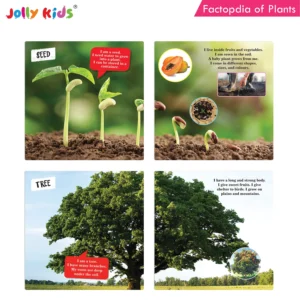 Jolly Kids Factopedia of Plants and Human Body Books Set of 2