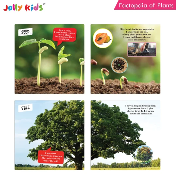 Jolly Kids Factopedia of Plants and Human Body Books Set of 2 - Image 2