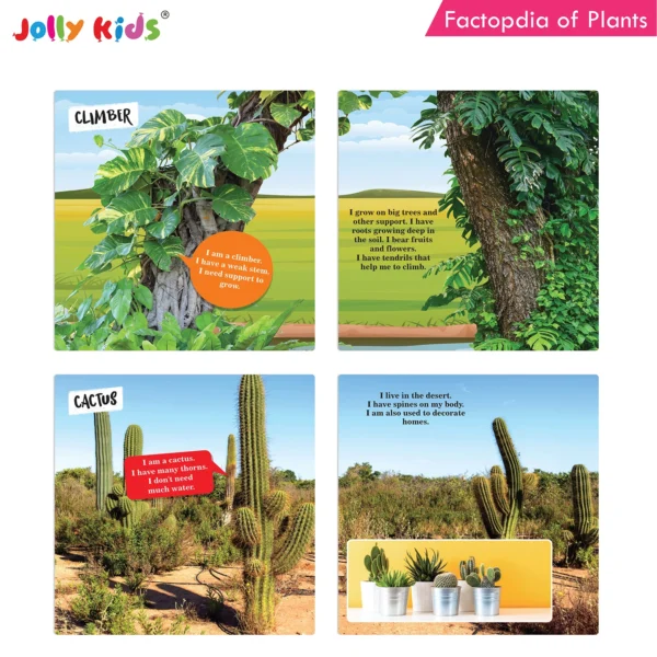 Jolly Kids Factopedia of Plants and Human Body Books Set of 2 - Image 3