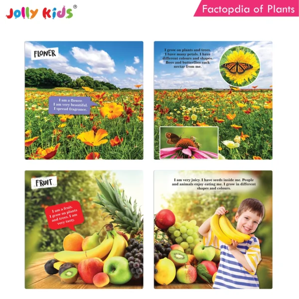 Jolly Kids Factopedia of Plants and Human Body Books Set of 2 - Image 4