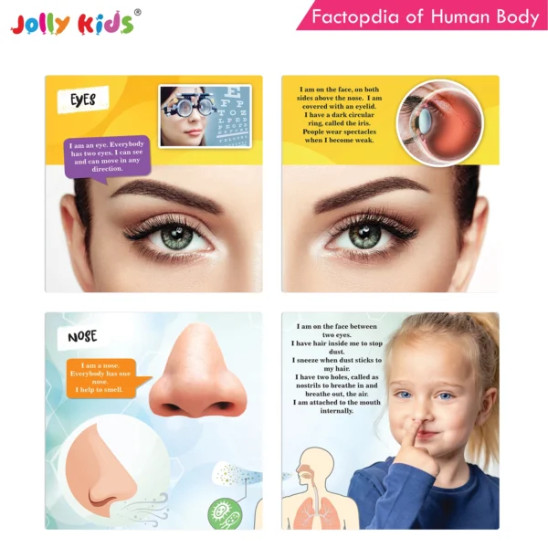 Jolly Kids Factopedia of Plants and Human Body Books Set of 2 - Image 5