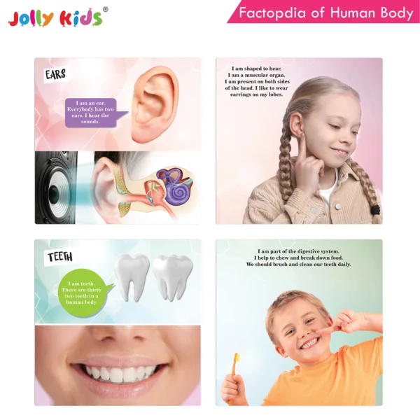 Jolly Kids Factopedia of Plants and Human Body Books Set of 2 - Image 6