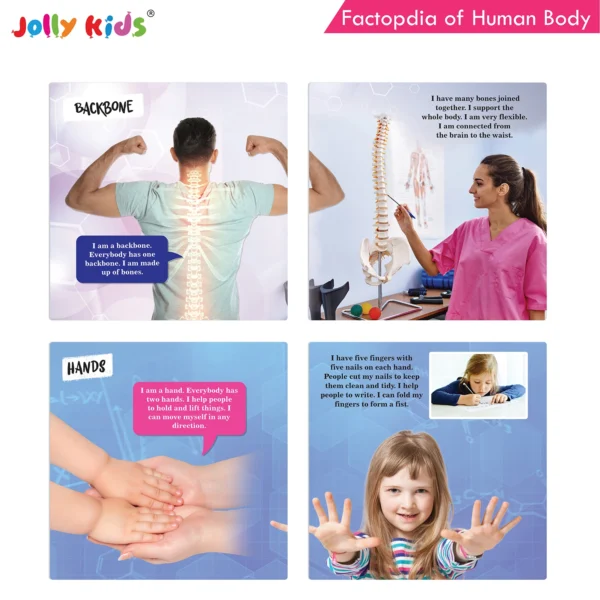 Jolly Kids Factopedia of Plants and Human Body Books Set of 2 - Image 7