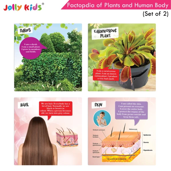 Jolly Kids Factopedia of Plants and Human Body Books Set of 2 - Image 8