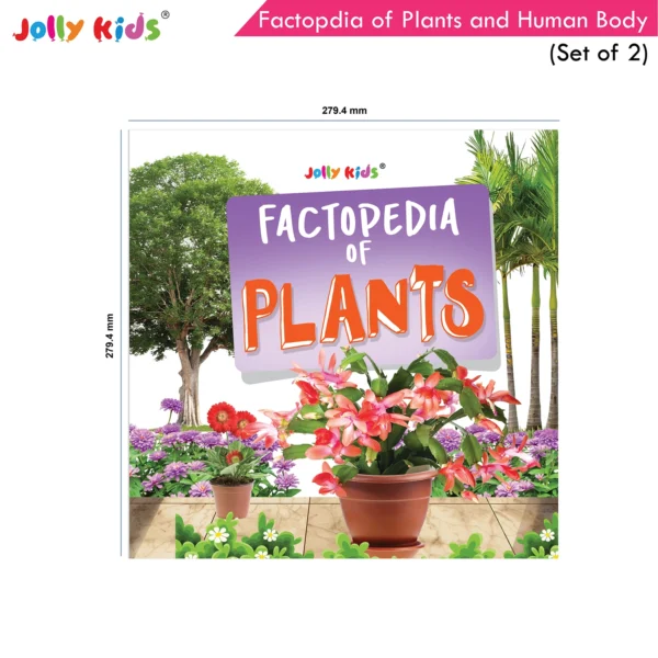 Jolly Kids Factopedia of Plants and Human Body Books Set of 2 - Image 9