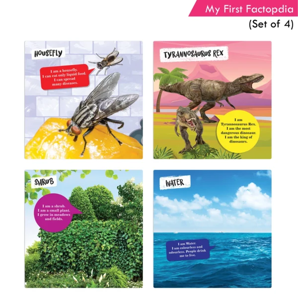 Jolly Kids 4-in-1 Factopedia Books Set of 4| Explore Nature Learning Adventure, Animals, Sports, Plants, Spaces and More - Image 3