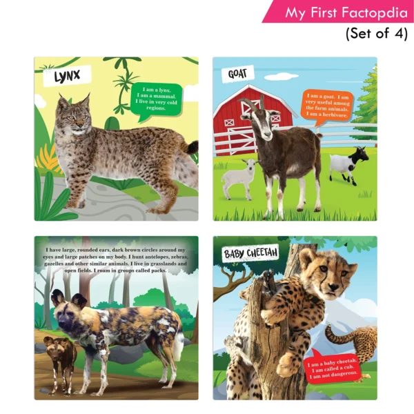 Jolly Kids 4-in-1 Factopedia Books Set of 4| Explore Nature Learning Adventure, Animals, Sports, Plants, Spaces and More - Image 4