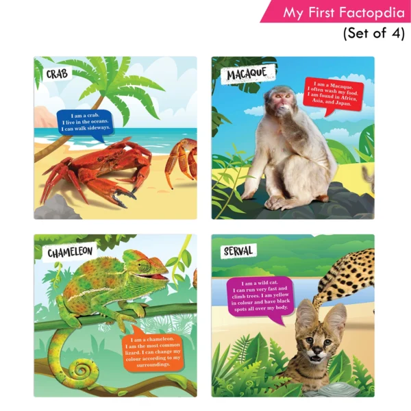 Jolly Kids 4-in-1 Factopedia Books Set of 4| Explore Nature Learning Adventure, Animals, Sports, Plants, Spaces and More - Image 6