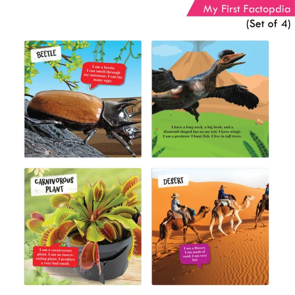 Jolly Kids 4-in-1 Factopedia Books Set of 4| Explore Nature Learning Adventure, Animals, Sports, Plants, Spaces and More - Image 7